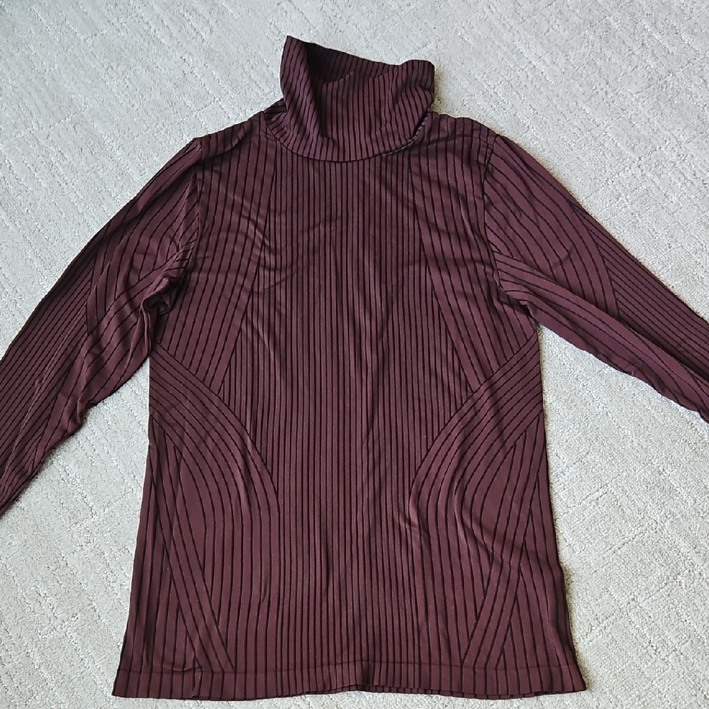 Athleta Burgundy and Black Striped Turtleneck